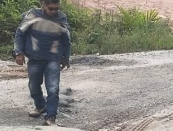 DPP-SPKN Soroti 24 Ruas Jalan Rusak di Kab. Siak, Frans Sibarani Segera Laporkan