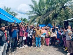 Masyarakat Adat Sakai Bengkalis Desak PT Agrinas Tindak Tegas PT SIS Tetap Kelolah 732 Hektare Lahan di Desa Pamesi