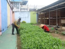 Bukti Nyata Lapas Pekanbaru Terus Produktif dan Konsisten Dukung Program Ketahanan Pangan