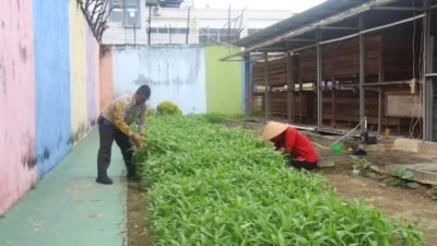 Bukti Nyata Lapas Pekanbaru Terus Produktif dan Konsisten Dukung Program Ketahanan Pangan