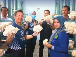 Inovasi Ketahanan Pangan, Kanwil Ditjenpas Riau Kembangkan Budidaya Jamur