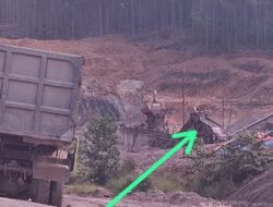 Saifullah Afrianto: Pelanggaran Hukum, PT. RAPP Mengubah Alih Fungsi HGU Ke Area Pertambangan