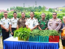 Kanwil Ditjenpas Riau Bersama Seluruh Ka. UPT Pemasyarakatan Se-Riau Mengikuti Zoom dan Laksanakan Panen Raya Serentak
