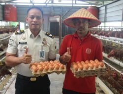 Dukung Program Ketahanan Pangan Nasional, Seksi Giatja Lapas Pekanbaru Panen Ratusan Butir Telur Ayam Tiap Hari