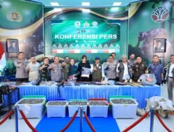 Polda Riau Berhasil Bekuk 15 Tersangka Jaringan Perburuan Gajah Sumatera
