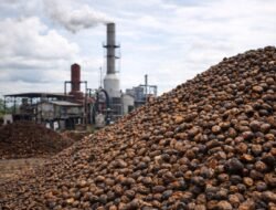 Energi Dari Sisa Panen, PLTBm Buka Peluang Ekonomi dan Kurangi Emisi Diby