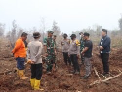 Danrem 031/WB Tinjau Langsung Pemadaman Karhutla di Dumai, Sinergitas TNI-Polri dan Pemda Diperkuat