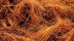 Optimalisasi Biomassa dari Limbah Serabut Industri Kelapa Sawit: Penerapan Metode Pembakaran sebagai Sumber Energi Terbarukan