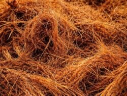 Optimalisasi Biomassa dari Limbah Serabut Industri Kelapa Sawit: Penerapan Metode Pembakaran sebagai Sumber Energi Terbarukan