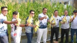 Kakanwil Ditjenpas Riau Beserta Jajaran Melaksanakan Kegiatan Panen Jagung, Wujud Nyata Program Ketahanan Pangan