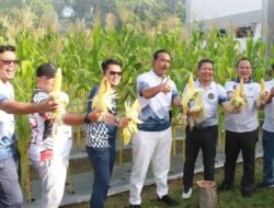 Kakanwil Ditjenpas Riau Beserta Jajaran Melaksanakan Kegiatan Panen Jagung, Wujud Nyata Program Ketahanan Pangan