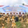 Polsek Kulim Gelar Panen Raya Jagung Kuartal II 2026, Dukung Program Swasembada Pangan Nasional