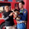 Zarman Candra: Selama Empat Bulan Ini, Tim DPKP Pekanbaru Banyak Melakukan Evakuasi Ular