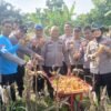 Polsek Wenapelan Panen Jagung Pipil Dukung Program Katahanan Pangan