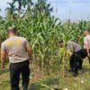 Polri Cinta Petani, Polresta Pekanbaru Aktif Dukung Ketahanan Pangan Nasional di Tuah Madani