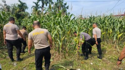 Polri Cinta Petani, Polresta Pekanbaru Aktif Dukung Ketahanan Pangan Nasional di Tuah Madani