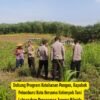 Dukung Program Ketahanan Pangan, Kapolsek Pekanbaru Kota Bersama Kelompok Tani Laksanakan Penanaman Jagung Hibrida