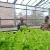 Polri Cinta Petani, Polresta Pekanbaru Melalui Polsek Limapuluh Turun Langsung Cek Kebun Sayur Organik Warga