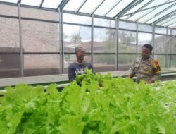 Polri Cinta Petani, Polresta Pekanbaru Melalui Polsek Limapuluh Turun Langsung Cek Kebun Sayur Organik Warga