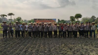 Dukung program Ketahanan Pangan, Polsek Senapelan Laksanakan Penanaman Jagung Pipil
