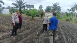 POLSEK KUNTO DARUSSALAM DUKUNG PROGRAM SWASEMBADA PANGAN MELALUI PENANAMAN JAGUNG PIPIL