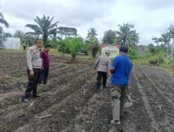 POLSEK KUNTO DARUSSALAM DUKUNG PROGRAM SWASEMBADA PANGAN MELALUI PENANAMAN JAGUNG PIPIL