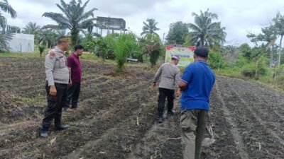 POLSEK KUNTO DARUSSALAM DUKUNG PROGRAM SWASEMBADA PANGAN MELALUI PENANAMAN JAGUNG PIPIL