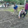 POLSEK KUNTO DARUSSALAM GELAR PROGRAM “POLISI CINTA PETANI” MELALUI PENANAMAN JAGUNG PIPIL