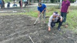 POLSEK KUNTO DARUSSALAM GELAR PROGRAM “POLISI CINTA PETANI” MELALUI PENANAMAN JAGUNG PIPIL