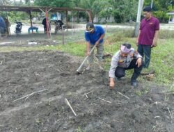 POLSEK KUNTO DARUSSALAM GELAR PROGRAM “POLISI CINTA PETANI” MELALUI PENANAMAN JAGUNG PIPIL