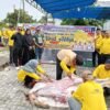 PWMOI Riau dan DNT Tour and Travel Gelar Kurban Perdana, Pererat Solidaritas Pengurus