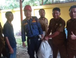 Reaksi Cepat dan Tanggap Tim Rescue DPKP Pekanbaru Berhasil Evakuasi Ular Piton di Kantor Dinas Kebudayaan Riau