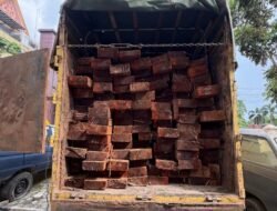 Breaking News: Subdit IV Tipidter Polda Riau Bongkar Aksi Perusakan Hutan Konservasi Giam Siak Kecil, 10 Kubik Kayu Diamankan