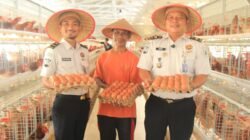 Lahan Terbatas Tak Halangi Lapas Pekanbaru Produksi 800 Telur per Hari