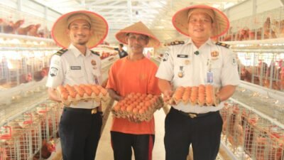 Lahan Terbatas Tak Halangi Lapas Pekanbaru Produksi 800 Telur per Hari