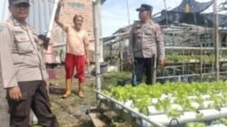 Polresta Pekanbaru Perkuat Ketahanan Pangan, Bhabinkamtibmas Dampingi Petani Selada dan Pakcoy di Tanjung Rhu