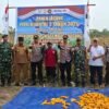Polresta Pekanbaru Perkuat Swasembada Pangan, Polsek Rumbai Panen 3 Ton Jagung