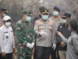 Kapolda Riau dan Pangdam Tuanku Tambusai Patroli Udara Karhutla, Turun Langsung Padamkan Api di Pelalawan
