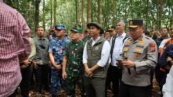 Pangdam XIX/TT Bersama Menhut Dorong Restorasi Berkelanjutan di Kawasan Rawan Karhutla