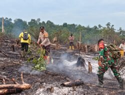 Tim Gabungan Kodam XIX/Tuanku Tambusai Lanjutkan Pendinginan Karhutla, Fokus Cegah Api Meluas